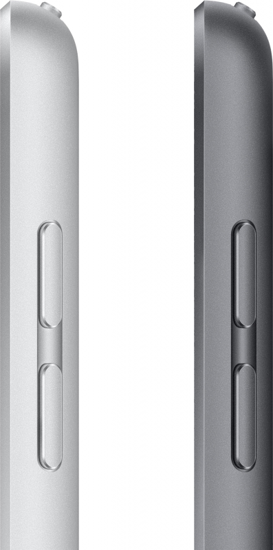 Apple iPad 10,2 (2021) Wi-Fi 256 ГБ, Серебристый