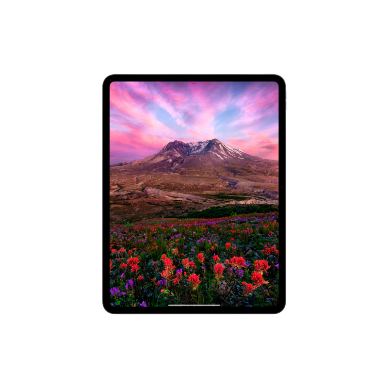 Apple iPad Pro M4, 13” дюймов Wi-Fi 1 ТБ Чёрный космос, нанотекстурное стекло